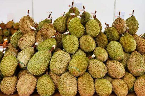 榴蓮進(jìn)口報關(guān)代理服務(wù)案例，泰國馬來西亞榴蓮如何清關(guān)?