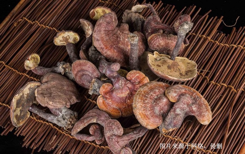 越南靈芝進口報關(guān)資料