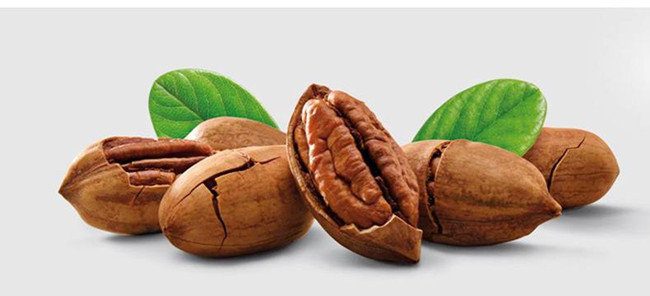 墨西哥碧根果進口報關(guān)流程 墨西哥碧根果進口報關(guān)流程