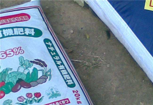 1590111992460158.png 化肥進(jìn)口報(bào)關(guān)