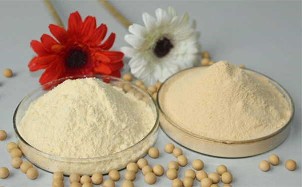 青島食品原料進口清關(guān)進口食品基本流程 食品原料進口清關(guān)