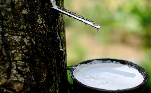 干貨!進(jìn)口橡膠清關(guān)所需的單證資料以及注意事項(xiàng) 進(jìn)口橡膠清關(guān)