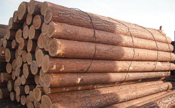 從歐洲進(jìn)口木材清關(guān)這樣做!進(jìn)口木材是這樣的 歐洲進(jìn)口木材清關(guān)