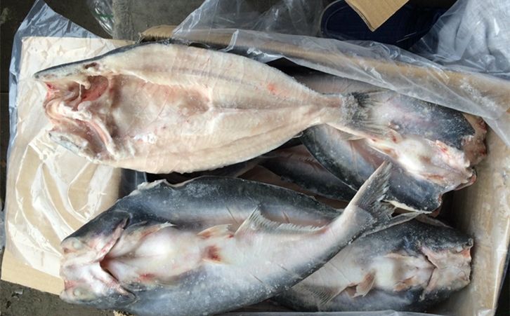 進(jìn)口巴沙魚清關(guān)代理一點都不難，只要你準(zhǔn)備好這些資料